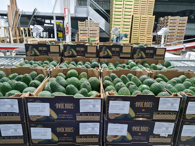 Opiniones de T&T FRUITS S.A. en Huaral - Tienda