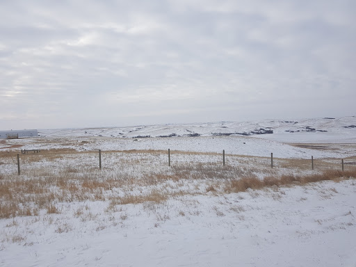 Casino «Stateline Casino Inc», reviews and photos, 2 US-2, Bainville, MT 59212, USA