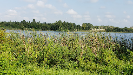 Movie Theater «AMC Veterans 24», reviews and photos, 9302 Anderson Rd, Tampa, FL 33634, USA