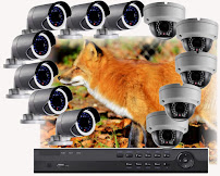 ATV Research - Photo 3 - Car repair in Dakota City, NE, Sioux City