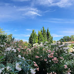 Photo n°3 de l'avis de Alexa. fait le 29/06/2021 à 22:05 sur le  Hotel Principessa Leonora à Ferrara