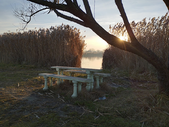 Hozzászólások és értékelések az Wenckheim kerékpárút - madárles-ról