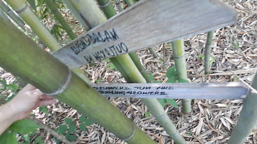 Nature Preserve «Glendale Shoals Preserve», reviews and photos, Emma Cudd Rd, Spartanburg, SC 29302, USA