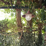 Photo n°2 de l'avis de Monica.o fait le 22/08/2020 à 12:38 sur le  Ristorante Il Solitario à Anacapri