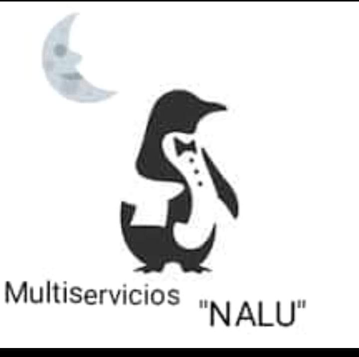 Multiservicios NALU