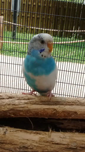 Zoo «Niabi Zoo», reviews and photos, 13010 Niabi Zoo Rd, Coal Valley, IL 61240, USA