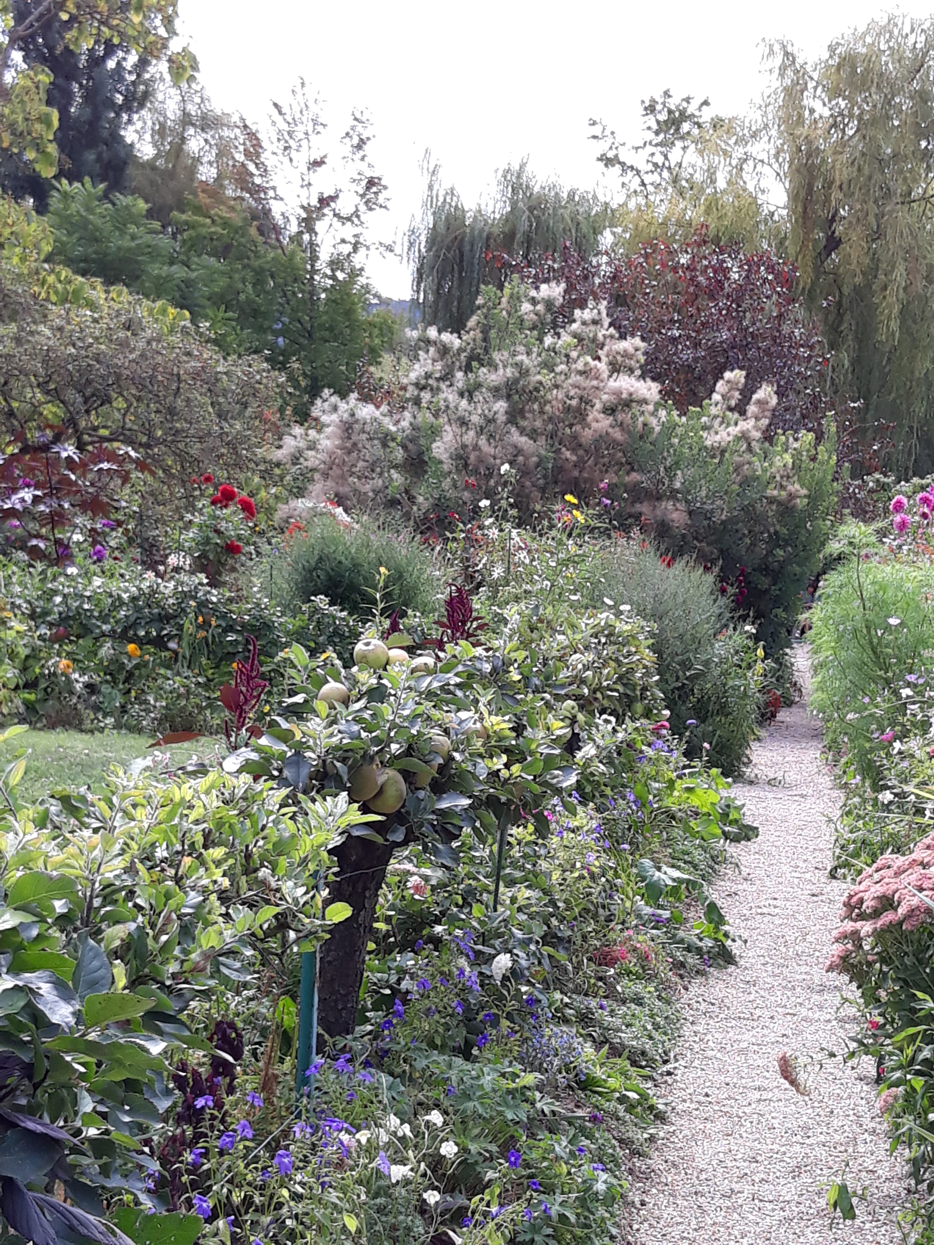 Photo n° 9 de l'avis de Zaj.h fait le 17/09/2018 à 16:50