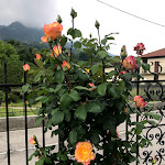 Photo n°4 de l'avis de Il.i fait le 22/05/2018 à 13:44 sur le  Trattoria Bar Del Maglio à Mesenzana