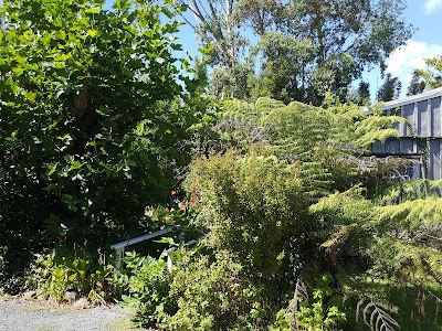 Photos of Pottery Lane Cottage
