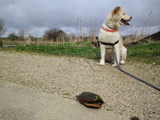 Nature Preserve «McDonald Woods Forest Preserve», reviews and photos, 19611 W Grass Lake Rd, Lake Villa, IL 60046, USA