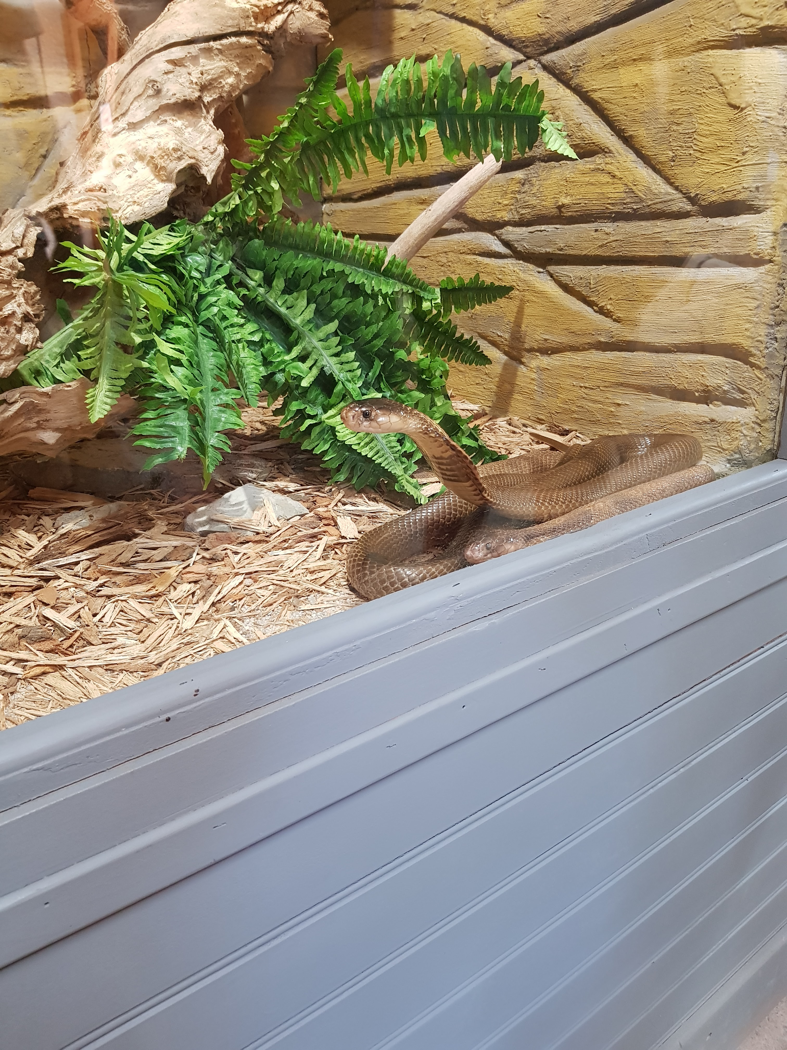 Photo n° 9 de l'avis de Lala.a fait le 24/08/2020 à 19:44