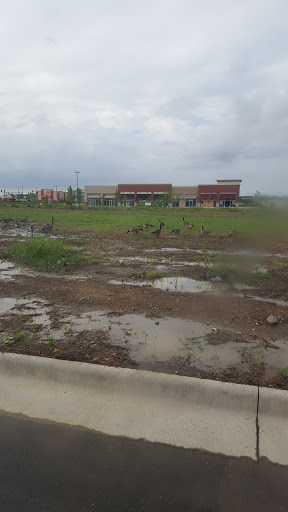 Shopping Mall «Lewis Crossing Shopping Center», reviews and photos, S Amity Rd, Conway, AR 72032, USA