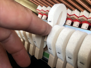 Photo n°1 de ACCORDSAUVAGES à Mandeure ()