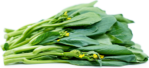 Asian Grocery Store «Tan A Grocery LLC», reviews and photos, 414 Ash St, Syracuse, NY 13208, USA