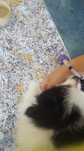 Pet Store «V.I. Pets», reviews and photos, 11975 E Lakewood Blvd, Holland, MI 49424, USA