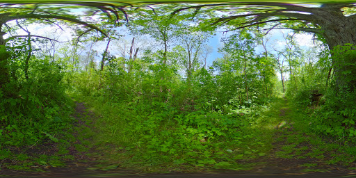 Nature Preserve «Burns-Stokes Preserve», reviews and photos, Zeeb Rd, Dexter, MI 48130, USA