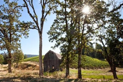 Winery «Colene Clemens Vineyards», reviews and photos, 22501 NE Dopp Rd, Newberg, OR 97132, USA