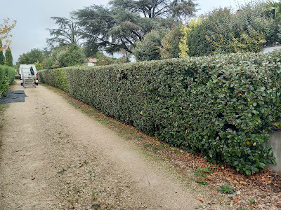 patrick services EI à Viviers-lès-Lavaur