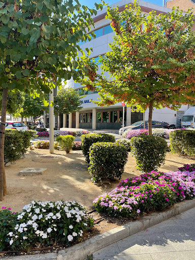 Imagen del negocio El Baile en Las Rozas de Madrid, Madrid