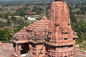 Pushpagiri Tirth Digambar Jain Temple image