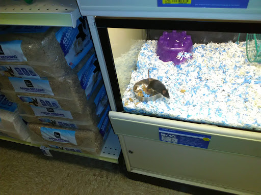 Pet Supply Store «PetSmart», reviews and photos, 3351 Jefferson Davis Hwy, Alexandria, VA 22305, USA