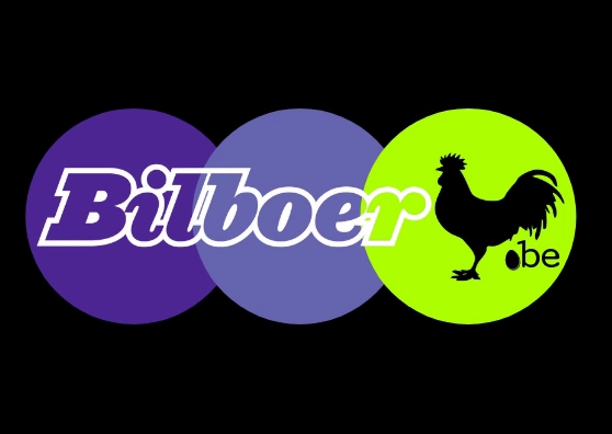 Reacties en beoordelingen van Bilboer b.v. - Event Management - Koen Vijverman