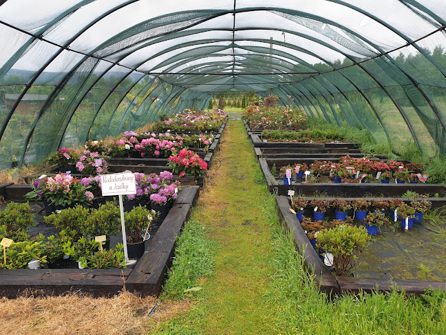 Opinii despre HiT FLORA s.r.o. în Děčín - Další