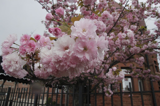 Bridal Shop «Beautiful Bridal with Keasha Rigsby», reviews and photos, 2921 E Jefferson Ave, Detroit, MI 48207, USA