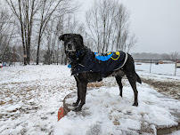 Bark Yard - Photo 5 - Car repair in Springfield, MO, Springfield