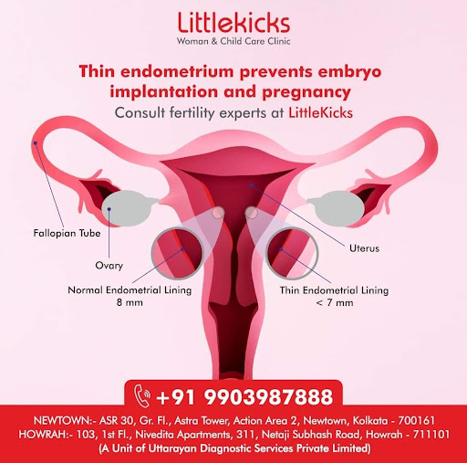 Dr. Satarupa Mukherjee (Gynaecologist & Fertility Specialist)