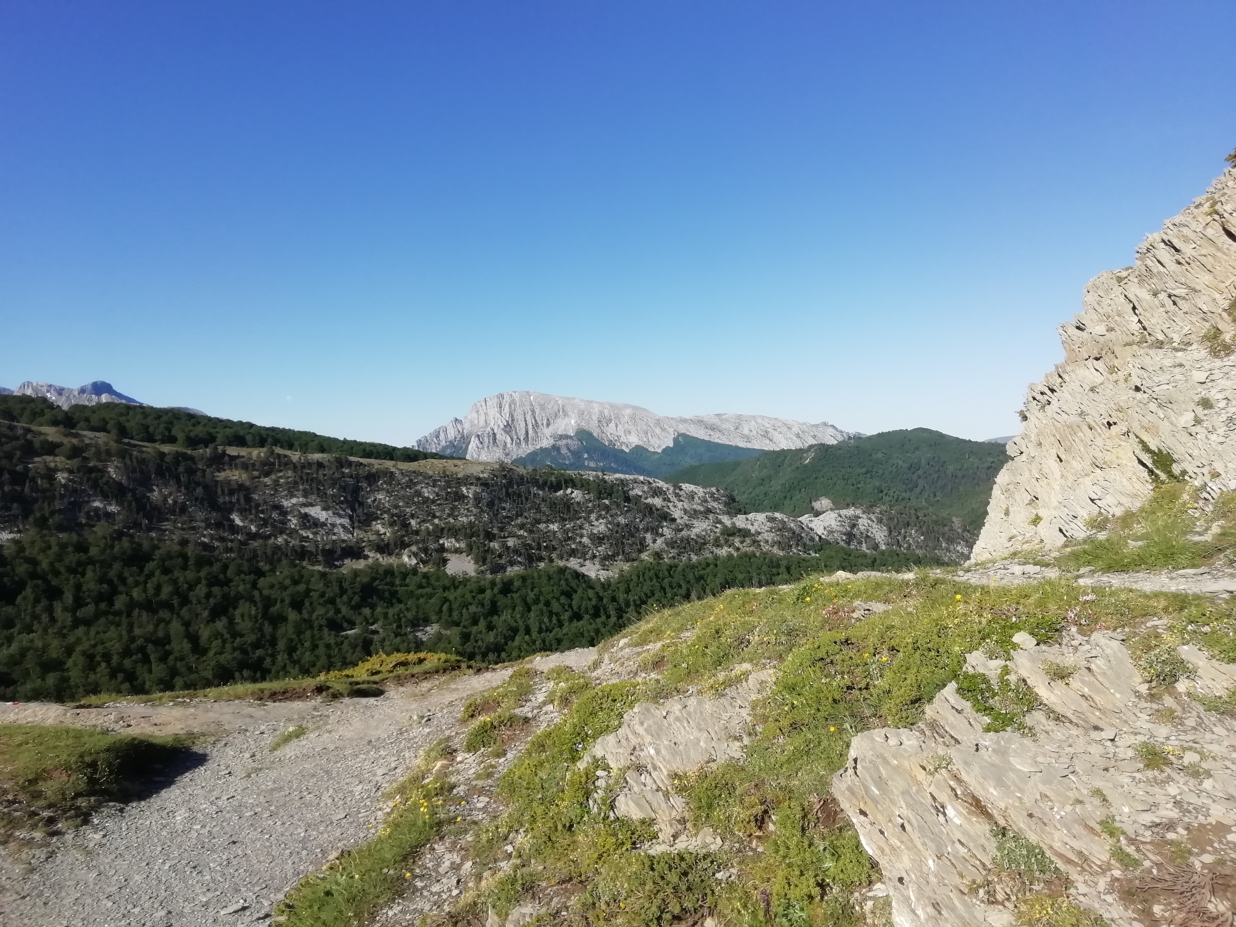 Photo n° 44 de l'avis de Javier.e fait le 06/08/2019 à 22:07