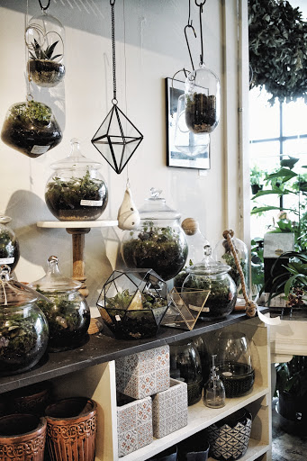 Florist «Flora», reviews and photos, 428 Haywood Rd B, Asheville, NC 28806, USA