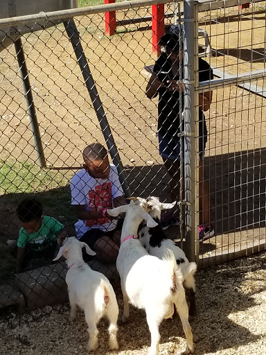 Ranch «Sharkarosa Wildlife Ranch», reviews and photos, 11670 Massey Rd, Pilot Point, TX 76258, USA