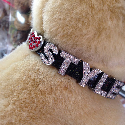 Pet Supply Store «Dog Style Canine Supply Company», reviews and photos, 2002 Judson Rd Suite 102, Longview, TX 75605, USA