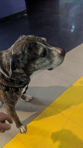 Concert Hall «Madison Theater», reviews and photos, 730 Madison Ave, Covington, KY 41011, USA