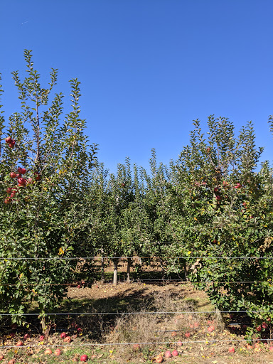 Produce Market «Parks Farms», reviews and photos, 525 NJ-24, Chester, NJ 07930, USA