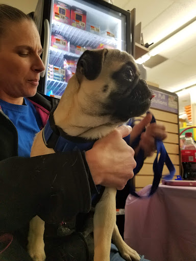 Pet Supply Store «Pet Supplies Plus», reviews and photos, 3100 Manchester Rd, Akron, OH 44319, USA