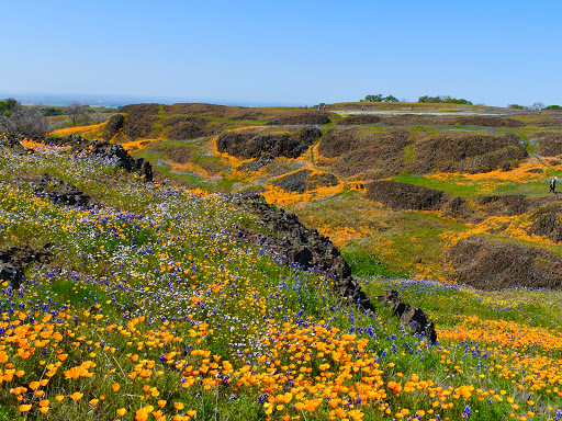 Nature Preserve «North Table Mountain Ecological Reserve», reviews and photos, 2488 Cherokee Rd, Oroville, CA 95965, USA