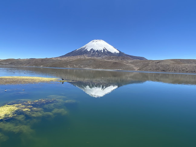 Suma Inti Viajes Tour Arica Lago Chungara - Arica