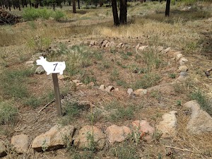 Elden Pueblo Archaeological Site - photo 53