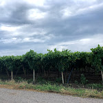 Photo n°1 de l'avis de EVA.A fait le 07/07/2018 à 19:03 sur le  Tenuta San Francesco à Trinitapoli