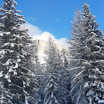 Photo n°3 de l'avis de Fiorella.o fait le 18/12/2023 à 13:43 sur le  Rifugio Lee à Badia