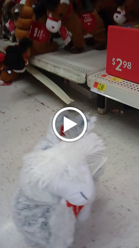 Supermarket «Vowell’s Marketplace», reviews and photos, 5777 Terry Rd, Byram, MS 39272, USA