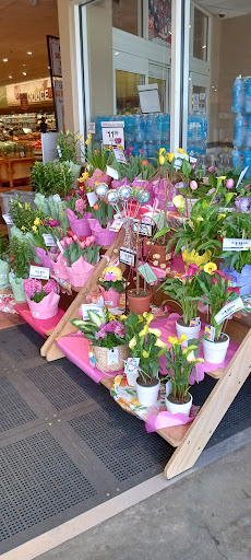 Supermarket «Big Y», reviews and photos, 135 West Rd, Ellington, CT 06029, USA