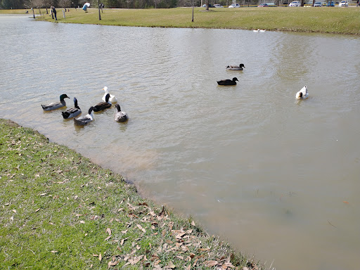 Park «Carl Barton Jr Park», reviews and photos, 2500 S Loop 336 W, Conroe, TX 77302, USA