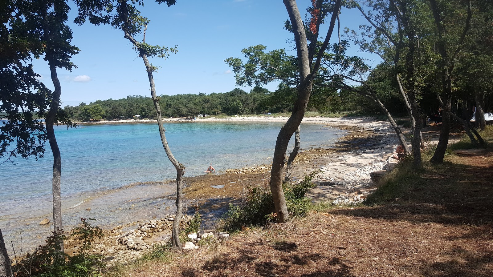 Plicina beach的照片 带有碧绿色纯水表面