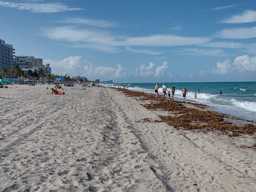 Shopping Mall «Oceanwalk Mall», reviews and photos, 101 N Ocean Dr, Hollywood, FL 33019, USA