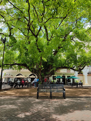 Parks with bar in Santo Domingo