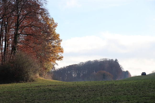 Hundeschule Bern und Umgebung - Basel