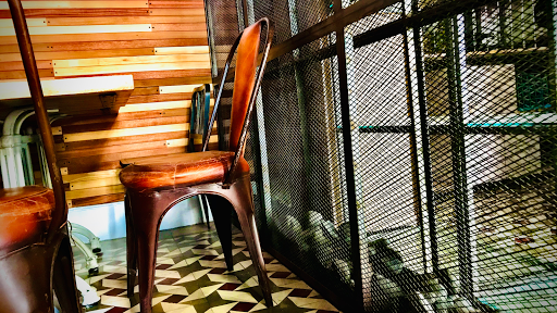 Gastrobar La Salamandra